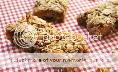 Oat Picnic Bars Recipe