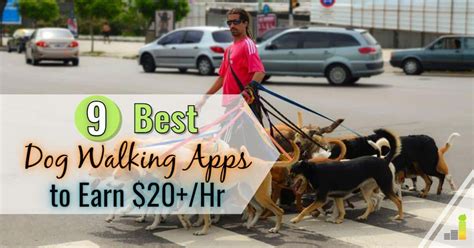 9 Best Dog Walking Jobs [Top Apps to Make Money] - Frugal Rules