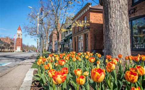 30+ Charming Things to Do in Niagara-on-the-Lake From a Local » I've ...