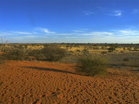 Interesting facts about the Kalahari Desert | The Adventure Travel Site