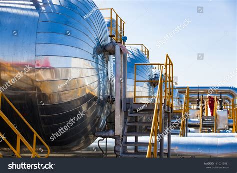 4.216 Gas Exchange In Plants Images, Stock Photos & Vectors | Shutterstock