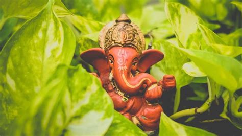 Ganesh Chaturthi 2023: गणेश चतुर्थी पर अपनों को भेजें ये खास संदेश ...