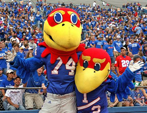 Kansas Football Mascot - Big 12 Football Online