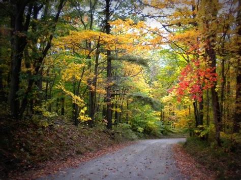 Fall foliage in the Finger Lakes | Places to see, Finger lakes, Lake