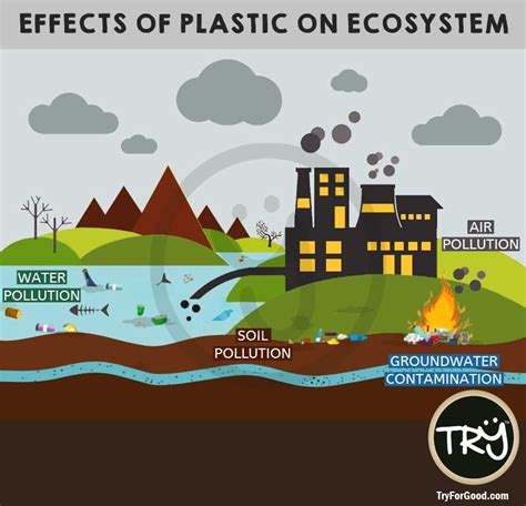 Effects Of Plastic On Ecosystem - TRY For Good