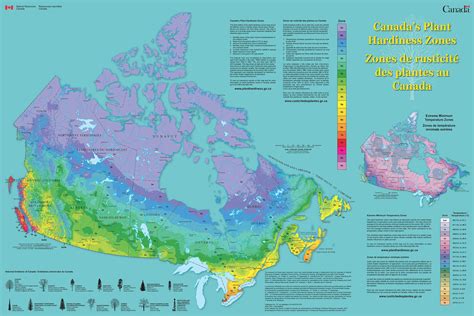 Connaitre sa zone de rusticité - Les zones de rusticité des plantes au ...