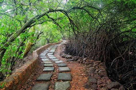 Dr. Salim Ali Bird Sanctuary in Goa | Top Places to Visit in Goa | Goa ...