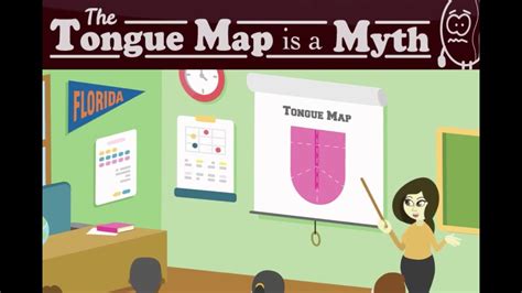 The Tongue Map is a Myth - YouTube