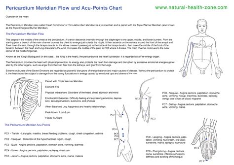 Pericardium Meridian - Protector of the Heart... Its goal is to "create ...