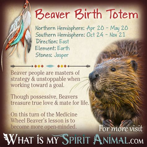 Beaver Totem Birth Sign | Native American Zodiac & Astrology | Native ...