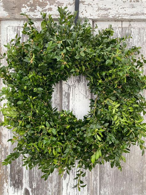 Boxwood Wreath