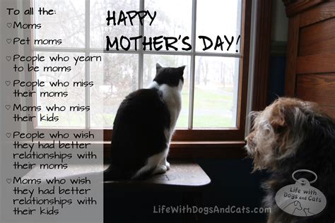 Happy Mother's Day to... - Life with Dogs and Cats : Life with Dogs and ...