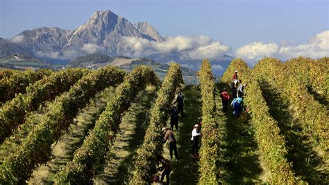 Abruzzo Wine Experience: il punto sui vini d’Abruzzo – VINODABERE ...