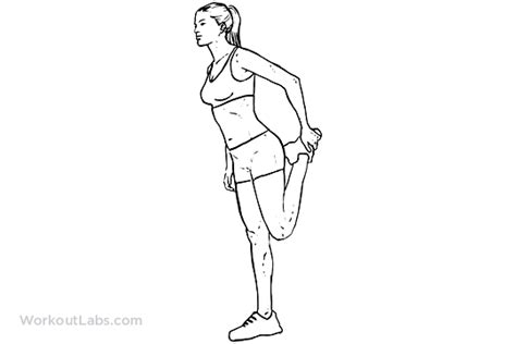 Standing Quadricep Stretch | WorkoutLabs