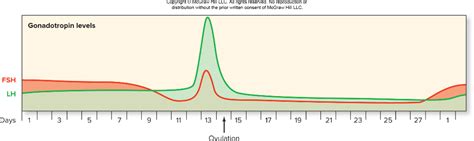 Gonadotropin levels chart Diagram | Quizlet