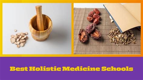 Best Holistic Medicine Schools - HelpToStudy.com