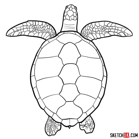 Simple Sea Turtle Drawing