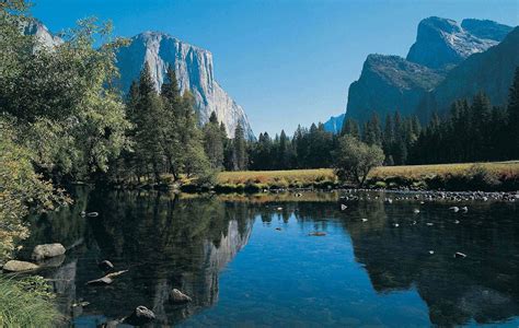 Hotels Near Yosemite Nat'l Park - South Entrance in CA