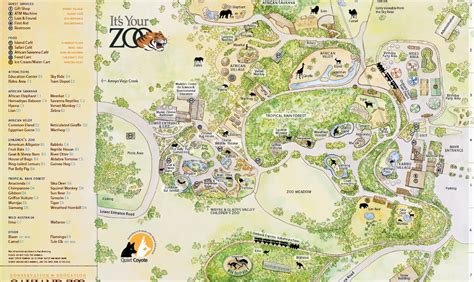 Oakland Zoo asks people to drop off ivory, other items made from ...