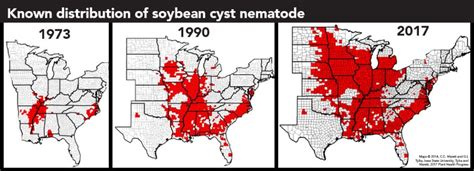 Nematicide seed treatments protect corn and soybeans from the start ...