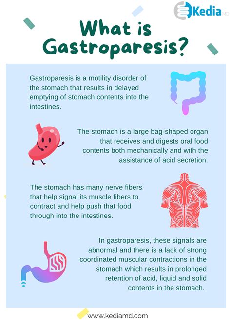 What is Gastroparesis Symptoms, Causes & Treatment in Dallas Texas