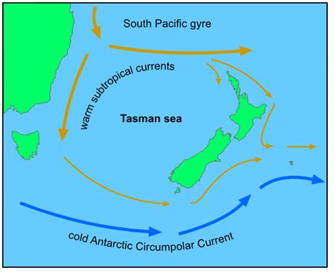 Tasman Sea On World Map