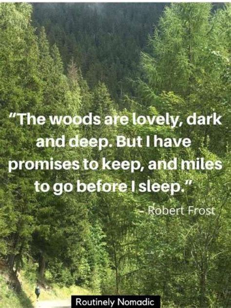 Woods Sayings: Exploring Popular Phrases and Quotes about Forests