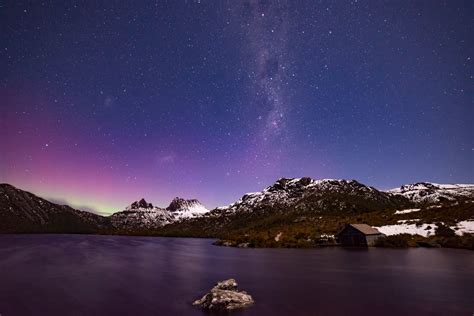 Mosses,Cradle Mt,Tasmania - craibas.al.gov.br