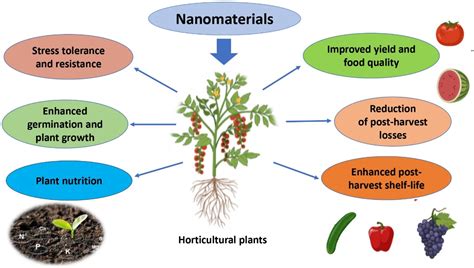 Horticulturae | Free Full-Text | Novel Approaches for Sustainable ...