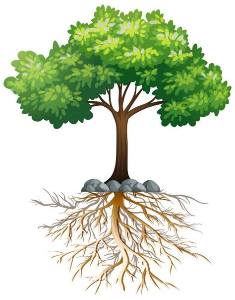 tree with roots clipart - Morton Oshea