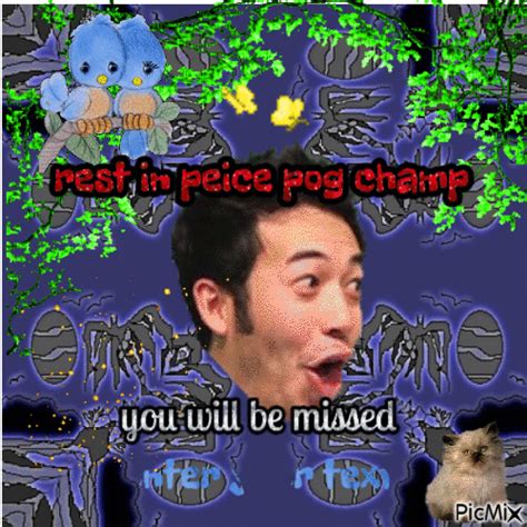 rip pogchamp - GIF animado gratis - PicMix