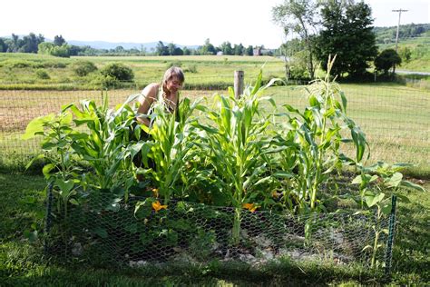 Maria In The Three Sisters Garden - Bedlam Farm