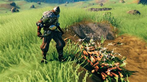 Valheim carrot farming: How to harvest them | PC Gamer