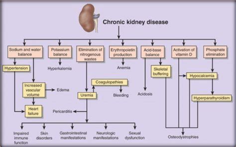 Pathophysiology of Chronic Renal Failure [19]. | Download Scientific ...