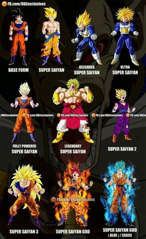 Saiyan levels | Anime dragon ball super, Dragon ball, Dragon ball image