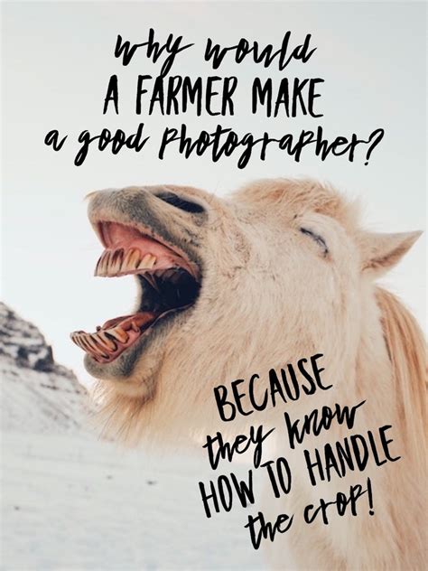 58 Funny Photography Quotes to Brighten Your Day