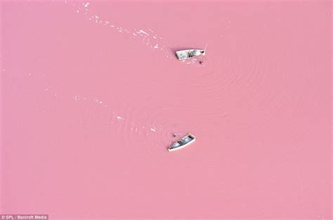 est100 一些攝影(some photos): Lake Retba,(Lac Rose) , High levels of salt ...