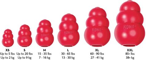 How to use a Kong for dogs - Barkercise