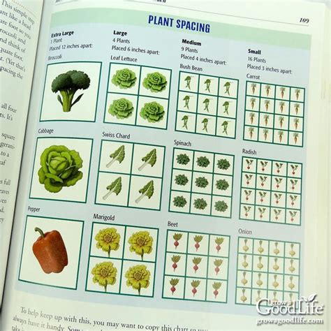 Square Foot Gardening Layout Examples | Fasci Garden