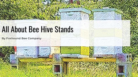 Bee Hive Stands - Foxhound Bee Co