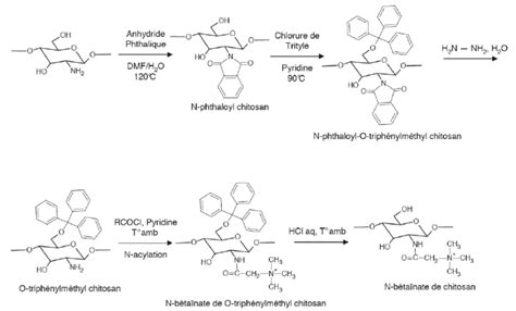 Synthèse de N-bétaïnate de chitosan — Synthesis of chitosan ...