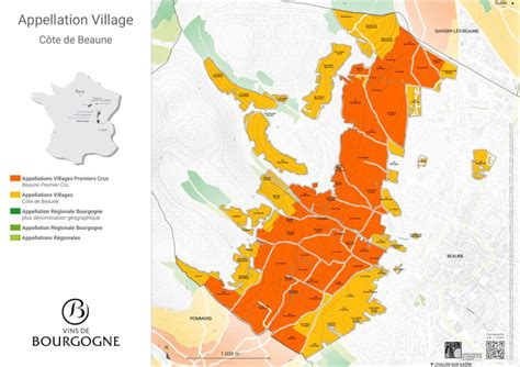 Côte de Beaune - Bourgogne wines