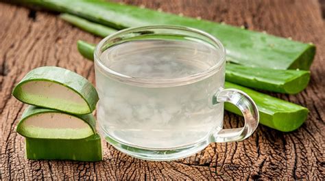 Baja de peso con el jugo de aloe vera y obtén grandes beneficios | La ...