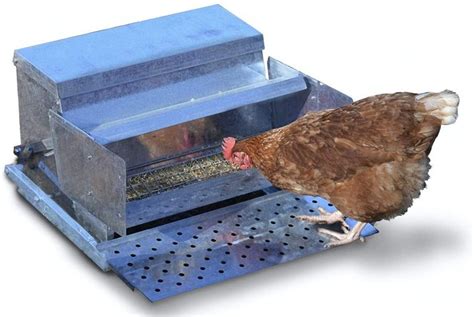 Waterproof & Rat Proof Treadle Chicken Feeders [3 Best Reviewed]