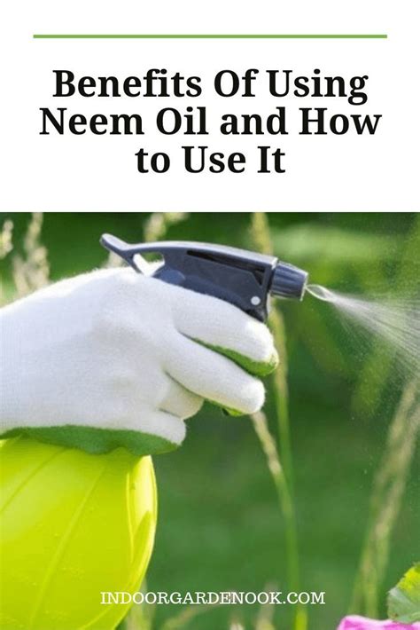 How To Make Neem Oil Spray For Plants Tiket Extra