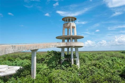 Shark Valley, Everglades National Park | Tickets & Tours - 2024