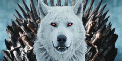 All 6 'Game of Thrones' Direwolf, Ranked