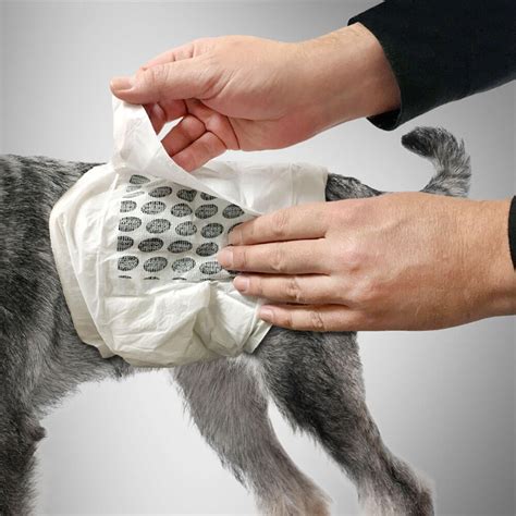 Simple Solution True Fit Disposable Male Dog Wraps