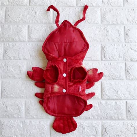 Funny Animal Dog Lobster Costumes