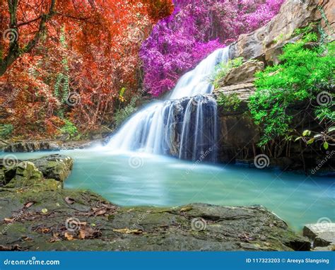 Jungle Landscape with Wonderful Waterfall Stock Image - Image of ...